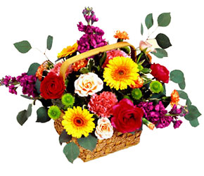 Razzle-Dazzle Bouquet In Waterford Michigan Jacobsen's Flowers