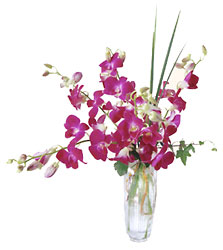  Pacific Paradise Arrangement In Waterford Michigan Jacobsen's Flowers