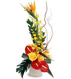 FTD Tropical Bright Arrangement In Waterford Michigan Jacobsen's Flowers