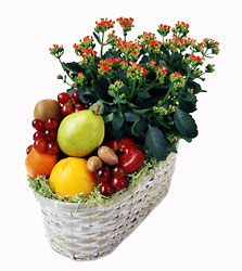 Fruit and Flowering In Waterford Michigan Jacobsen's Flowers