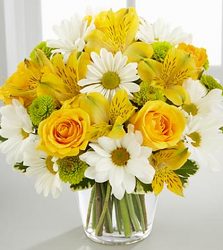 Sunny Sentiments In Waterford Michigan Jacobsen's Flowers