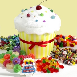 Birthday Celebration Cupcake In Waterford Michigan Jacobsen's Flowers