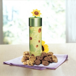 Mrs. Beasley's Get Well Cookie Cannister In Waterford Michigan Jacobsen's Flowers