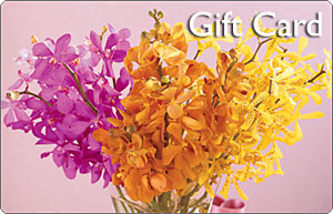 Jacobsen's Gift Card w/ Orchids In Waterford Michigan Jacobsen's Flowers