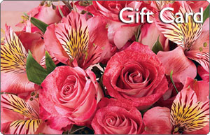 Jacobsen's Gift Card In Waterford Michigan Jacobsen's Flowers