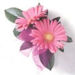 Gerbera Corsage In Waterford Michigan Jacobsen's Flowers