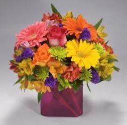Summer Smiles In Waterford Michigan Jacobsen's Flowers