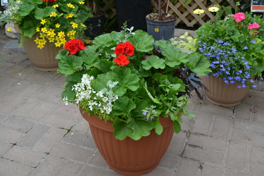 Beautiful Porch Planters In Waterford Michigan Jacobsen's Flowers