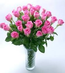2 DOZEN LONG STEM PINK ROSES In Waterford Michigan Jacobsen's Flowers