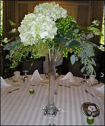 Hydrangea Hydrangea! In Waterford Michigan Jacobsen's Flowers