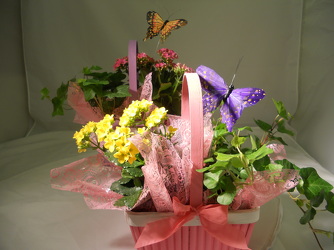 Bloomin'  Basket In Waterford Michigan Jacobsen's Flowers