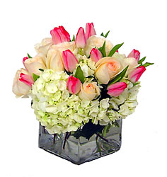 Beautfiul Spring In Waterford Michigan Jacobsen's Flowers