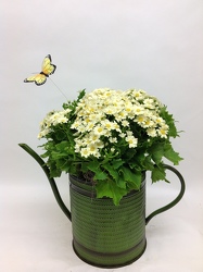 Watering Cans In Waterford Michigan Jacobsen's Flowers