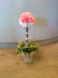 Carnation Topiary In Waterford Michigan Jacobsen's Flowers