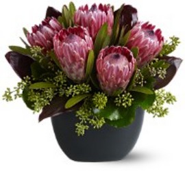 Positively Protea In Waterford Michigan Jacobsen's Flowers