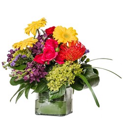 Siesta Sunrise In Waterford Michigan Jacobsen's Flowers