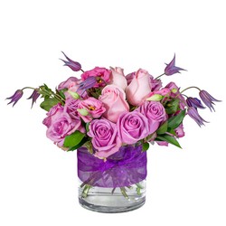 Hold Me Tight In Waterford Michigan Jacobsen's Flowers