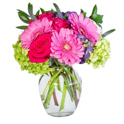 Rosey Cheeks In Waterford Michigan Jacobsen's Flowers