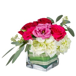 Sweet Dreams In Waterford Michigan Jacobsen's Flowers