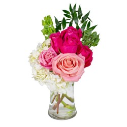 Pink Wink In Waterford Michigan Jacobsen's Flowers