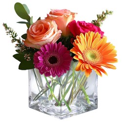 Sunshine Melody In Waterford Michigan Jacobsen's Flowers