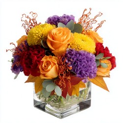Petaljuice In Waterford Michigan Jacobsen's Flowers