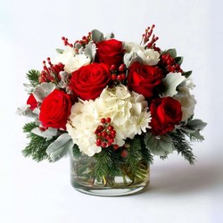 Holly Embrace In Waterford Michigan Jacobsen's Flowers