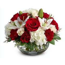 Winter Blessings In Waterford Michigan Jacobsen's Flowers