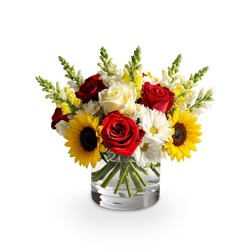Sunshine Whirl In Waterford Michigan Jacobsen's Flowers