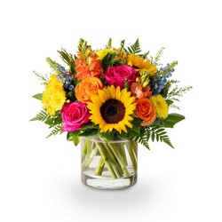 Sunshine Fiesta In Waterford Michigan Jacobsen's Flowers