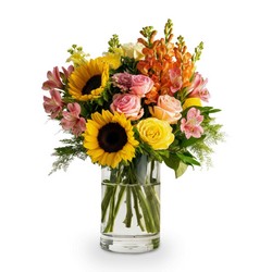 Summer Citrus Glow In Waterford Michigan Jacobsen's Flowers