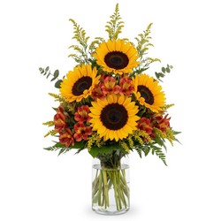 Golden Harvest Radiance In Waterford Michigan Jacobsen's Flowers