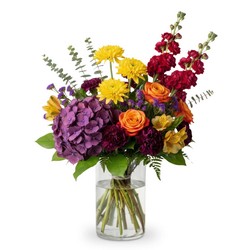 Harvest Moonlight Medley In Waterford Michigan Jacobsen's Flowers Harvest Moonlight Medley In Waterford Michigan Jacobsen's Flowers