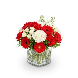 Fireside Frost & Berry In Waterford Michigan Jacobsen's Flowers