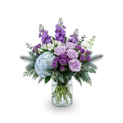 Amethyst Winter Dream In Waterford Michigan Jacobsen's Flowers