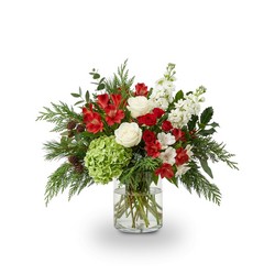 Evergreen & Winter Bloom Radiance In Waterford Michigan Jacobsen's Flowers