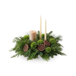 Verdant Zen Yuletide In Waterford Michigan Jacobsen's Flowers
