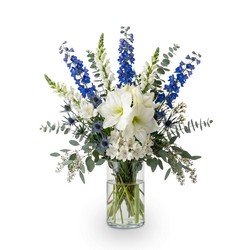 Celestial Hanukkah Radiance In Waterford Michigan Jacobsen's Flowers