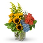 Fun in the Sun In Waterford Michigan Jacobsen's Flowers