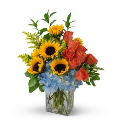 Summer Fun In Waterford Michigan Jacobsen's Flowers