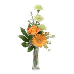 Orange U Glad In Waterford Michigan Jacobsen's Flowers