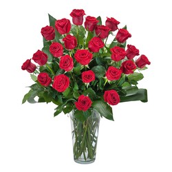 Grande Roses - 2 Dozen Long Stem Roses In Waterford Michigan Jacobsen's Flowers