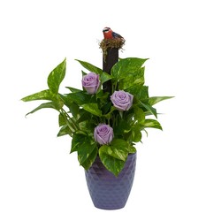 Pothos on Pole with Fresh  In Waterford Michigan Jacobsen's Flowers