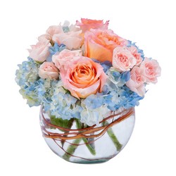 Peaches and Dream In Waterford Michigan Jacobsen's Flowers
