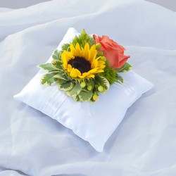 Sunset Pillow Insert In Waterford Michigan Jacobsen's Flowers