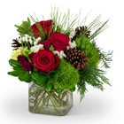 Wintertime Beauty In Waterford Michigan Jacobsen's Flowers