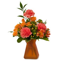 Orange Dream In Waterford Michigan Jacobsen's Flowers