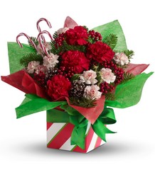 Christmas Present Perfect In Waterford Michigan Jacobsen's Flowers