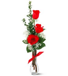 3 Red Roses In Waterford Michigan Jacobsen's Flowers