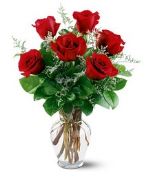 6 Red Roses In Waterford Michigan Jacobsen's Flowers